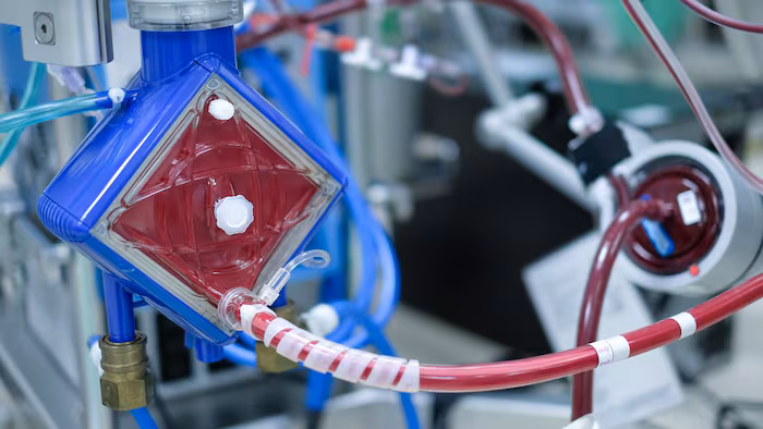 CDX Medical Technologies Secures $2.5M To Advance Smart ECMO Platform Toward FDA Approval